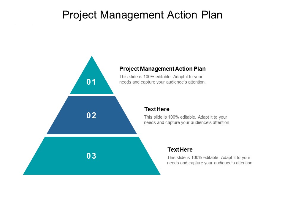 Project Management Action Plan Ppt PowerPoint Presentation Icon Graphics Design Cpb