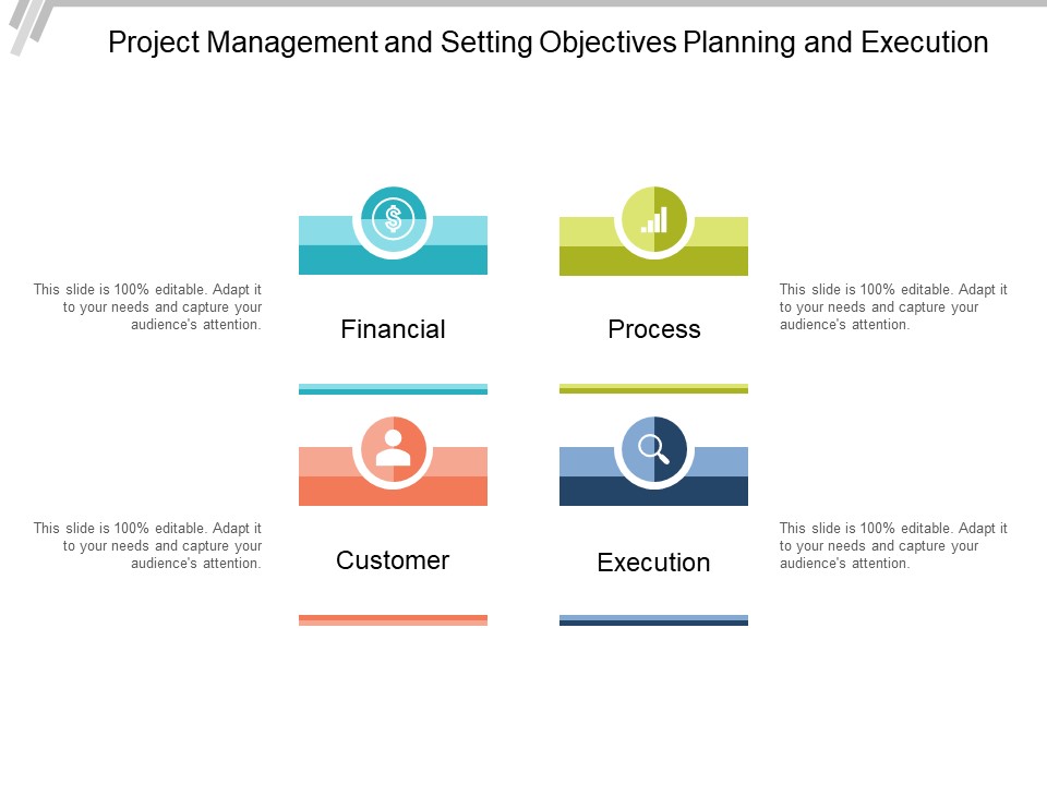 Project Management And Setting Objectives Planning And Execution Ppt PowerPoint Presentation Visual Aids Summary