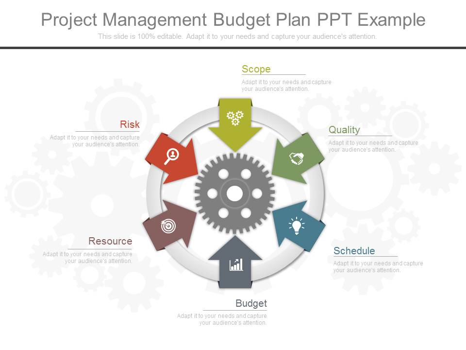 Project Management Budget Plan Ppt Example