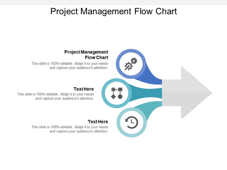 Project Management Flow Chart Ppt PowerPoint Presentation Show Pictures