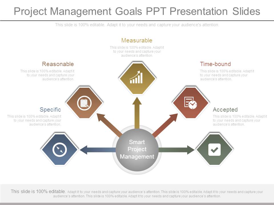 Project Management Goals Ppt Presentation Slides