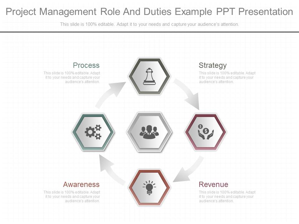 Project Management Role And Duties Example Ppt Presentation