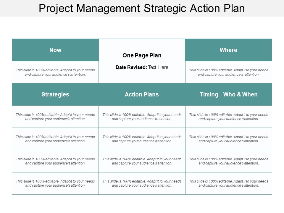 Project Management Strategic Action Plan Ppt Powerpoint Presentation Designs