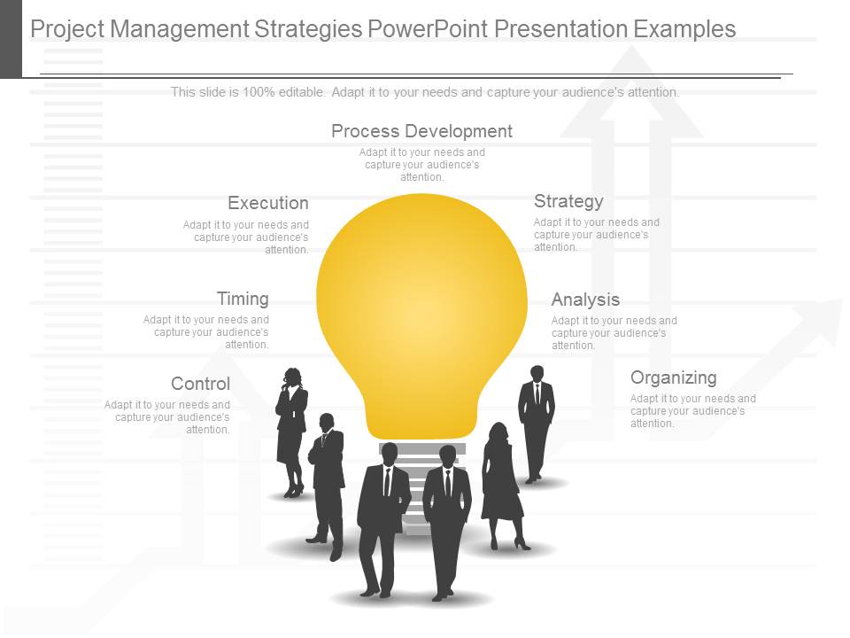 Project Management Strategies Powerpoint Presentation Examples