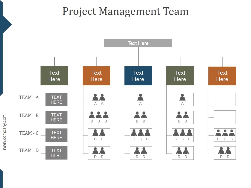 Project Management Team Ppt PowerPoint Presentation Clipart