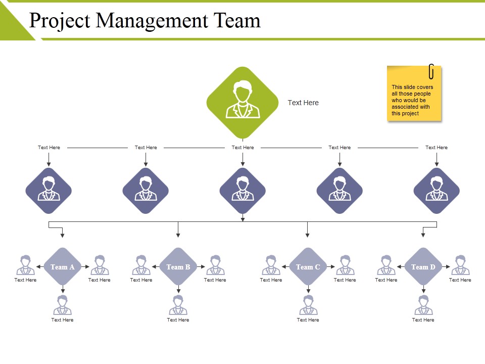 Project Management Team Ppt PowerPoint Presentation Show Images