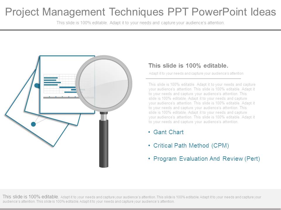Project Management Techniques Ppt Powerpoint Ideas
