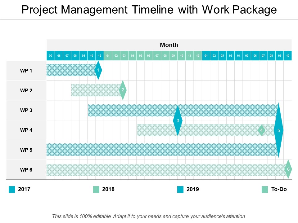 Project Management Timeline With Work Package Ppt PowerPoint Presentation Ideas Graphics