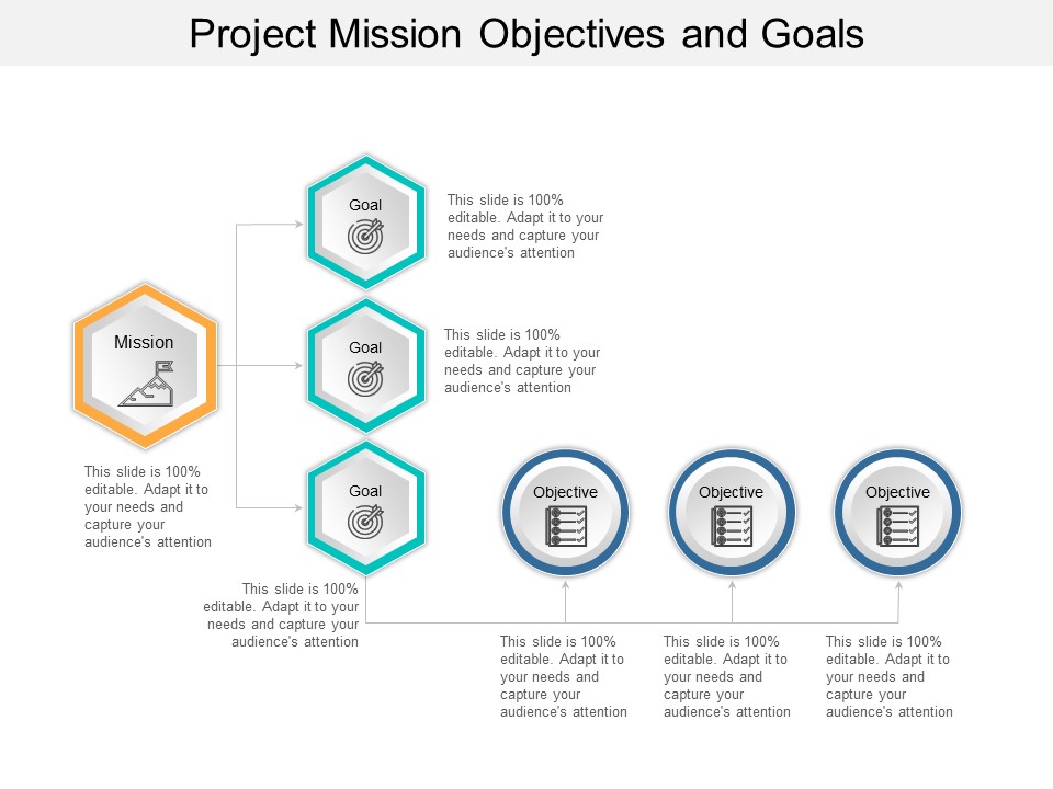 Project Mission Objectives And Goals Ppt PowerPoint Presentation Portfolio Professional