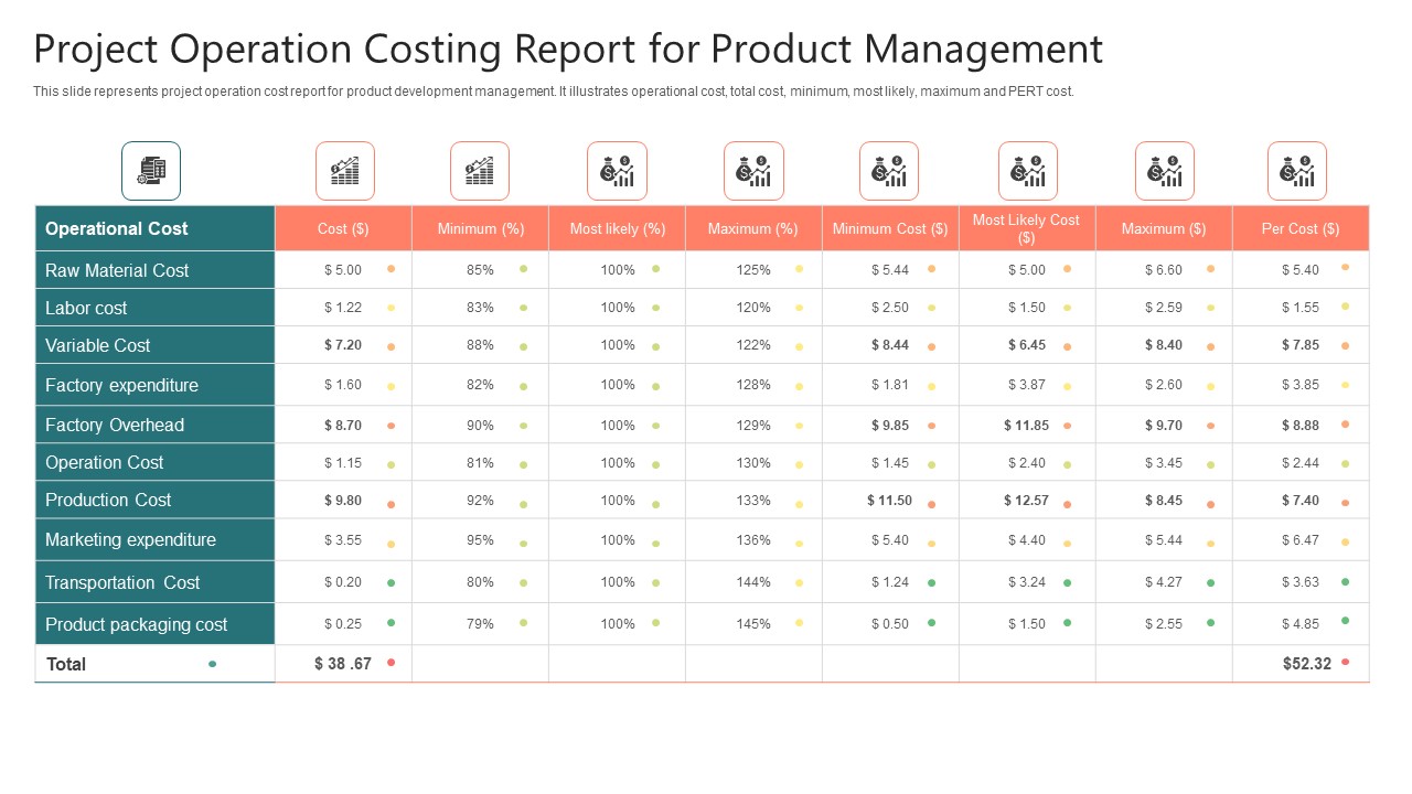 Project Operation Costing Report For Product Management Information PDF