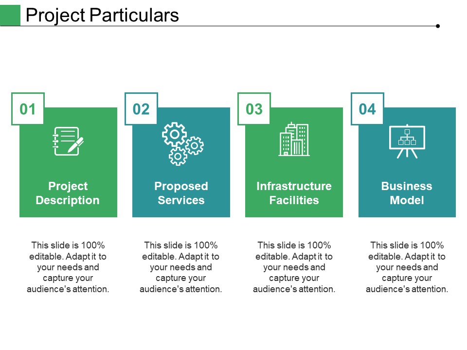 Project Particulars Ppt PowerPoint Presentation Styles Guide