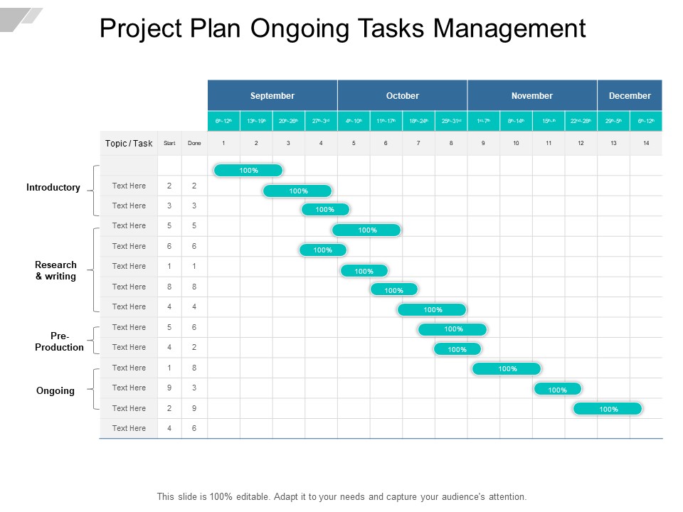 Project Plan Ongoing Tasks Management Ppt PowerPoint Presentation Styles Picture