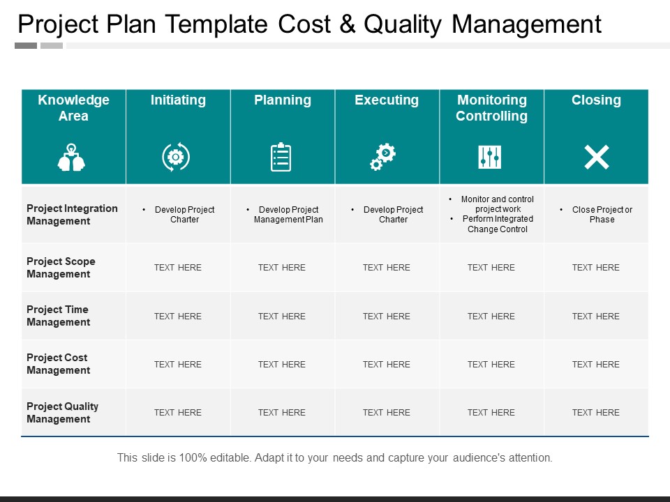 Project Plan Template Cost And Quality Management Ppt PowerPoint Presentation Infographic Template Model