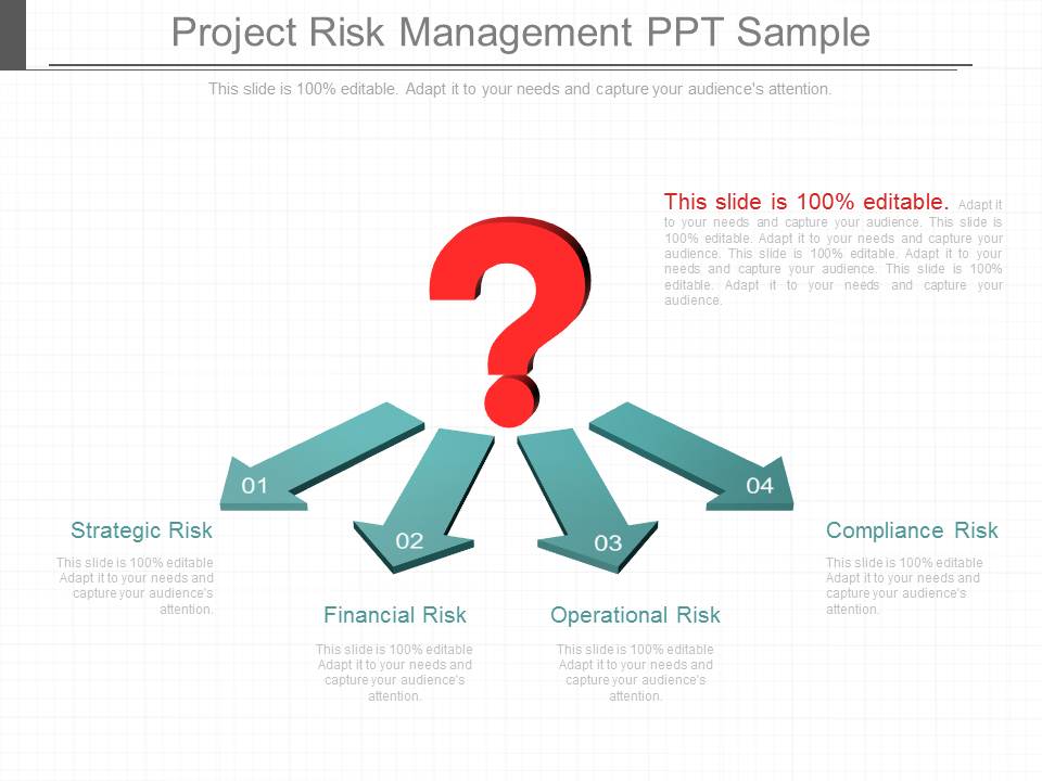 Project Risk Management Ppt Sample