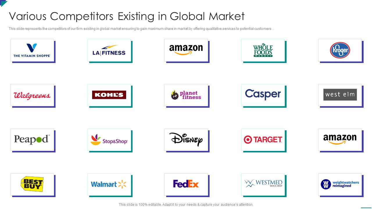 Project Schedule And Cost Management Bundle Various Competitors Existing In Global Market Icons PDF