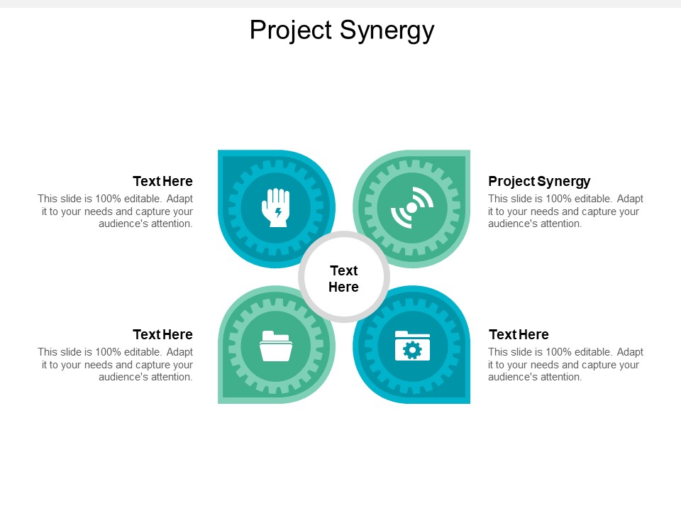 Project Synergy Ppt PowerPoint Presentation Icon Examples Cpb