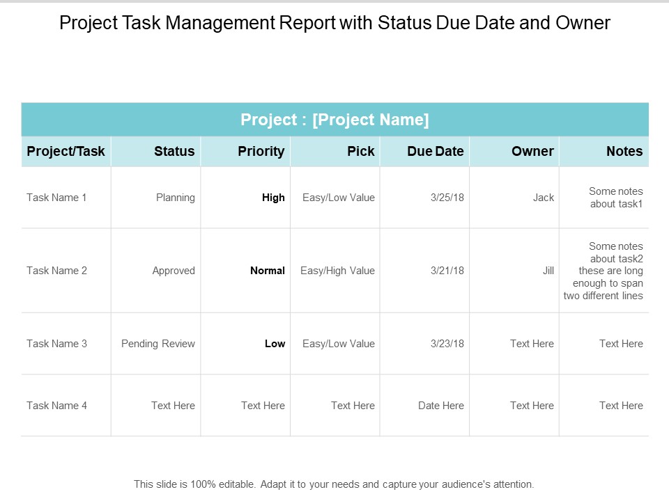 Project Task Management Report With Status Due Date And Owner Ppt PowerPoint Presentation Infographics Show Cpb