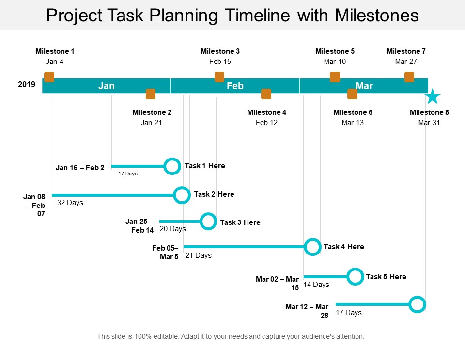 Project Task Planning Timeline With Milestones Ppt PowerPoint Presentation Summary Show