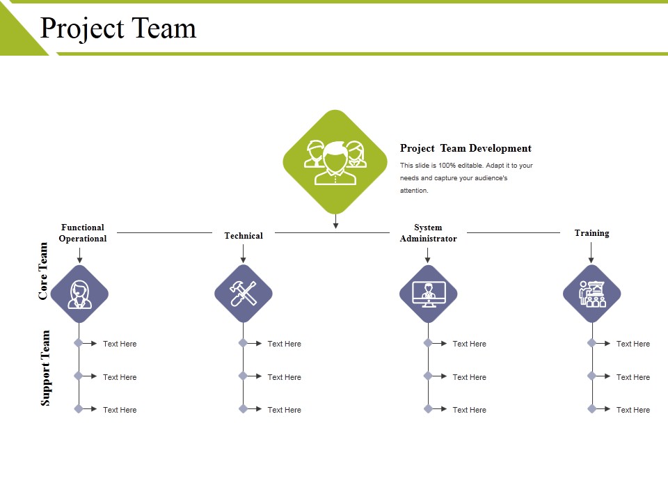 Project Team Ppt PowerPoint Presentation File Show