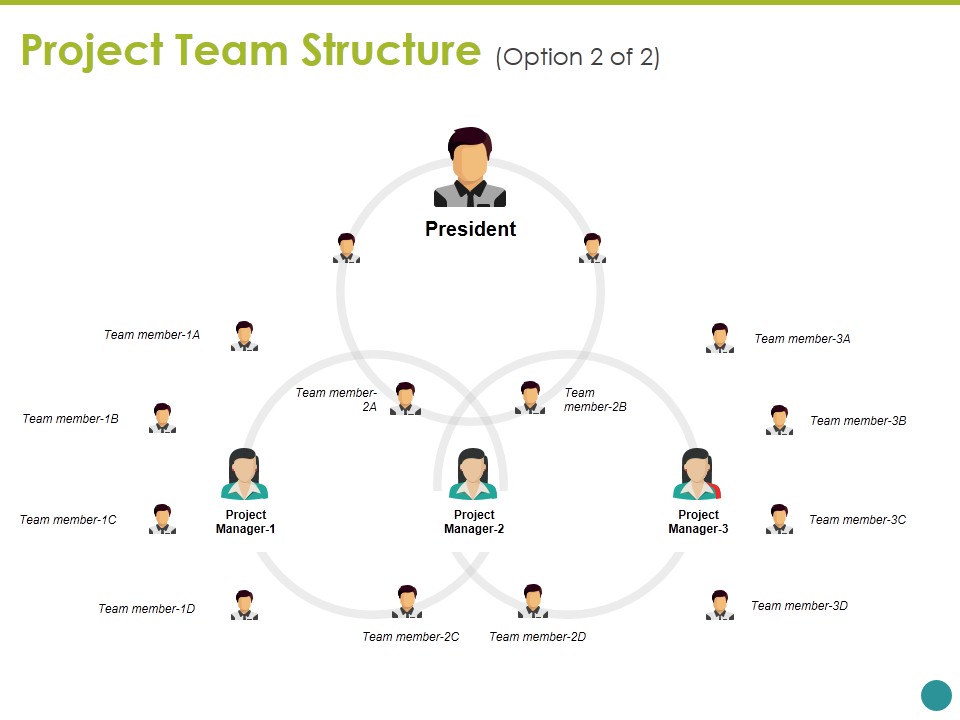 Project Team Structure Ppt PowerPoint Presentation Layouts Background