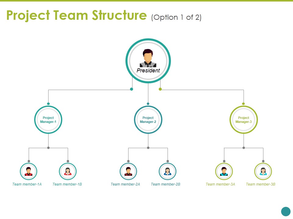 Project Team Structure Template Ppt PowerPoint Presentation Outline Graphic Tips