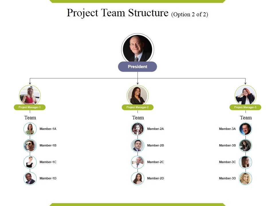 Project Team Structure Template Ppt PowerPoint Presentation Pictures Elements