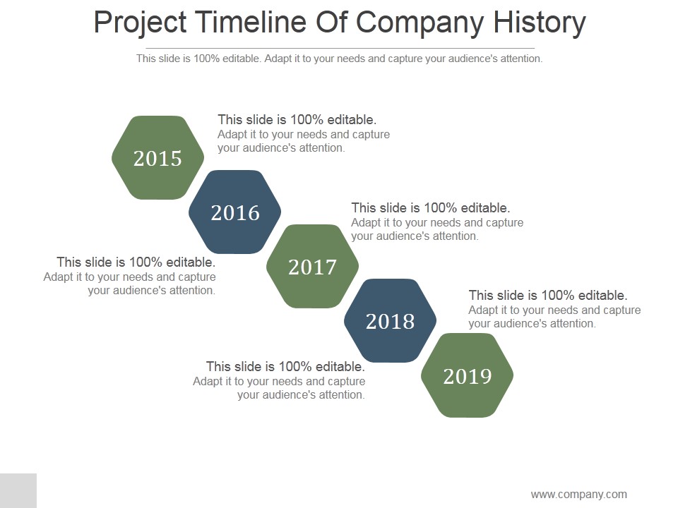 Project Timeline Of Company History Ppt PowerPoint Presentation Rules