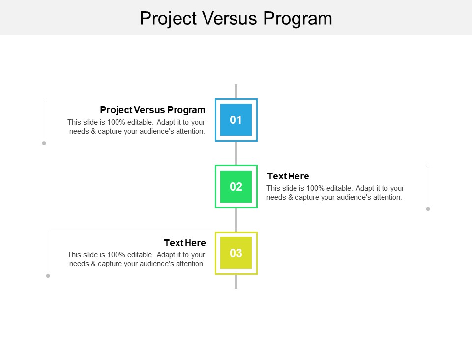 Project Versus Program Ppt PowerPoint Presentation Styles Rules Cpb