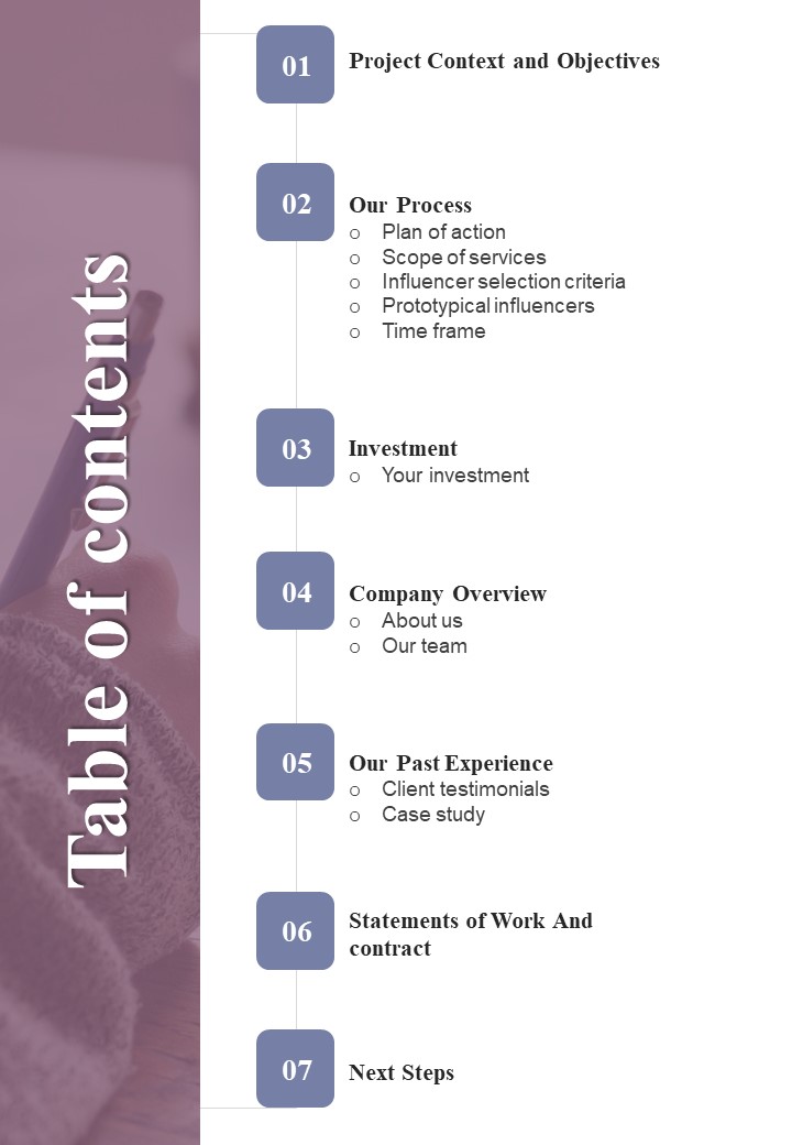 Proposal For Online Marketing Table Of Contents One Pager Sample Example Document