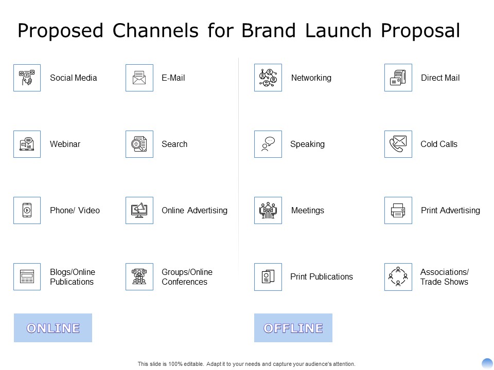 Proposal To Brand Company Professional Services Proposed Channels For Brand Launch Proposal Formats PDF