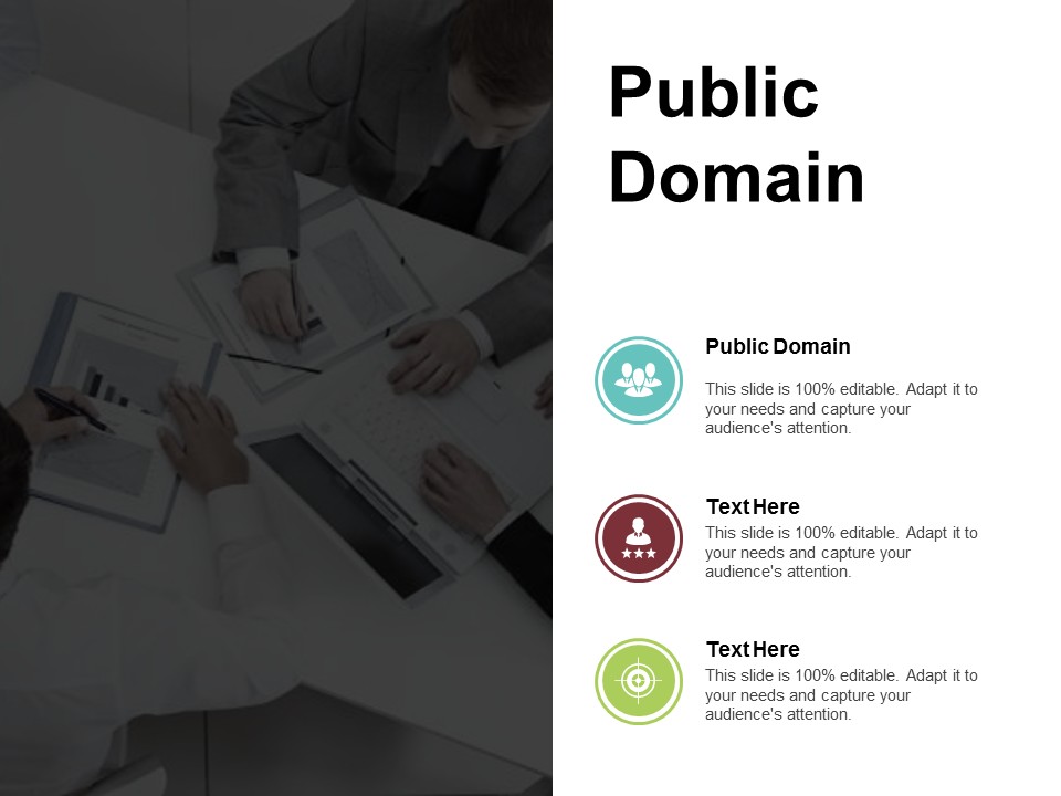 Public Domain Ppt PowerPoint Presentation Portfolio Example Introduction Cpb