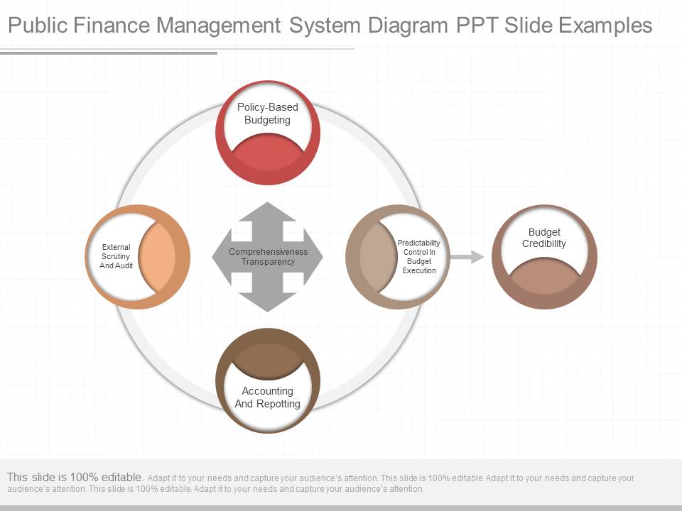 Public Finance Management System Diagram Ppt Slide Examples