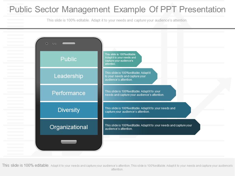 Public Sector Management Example Of Ppt Presentation
