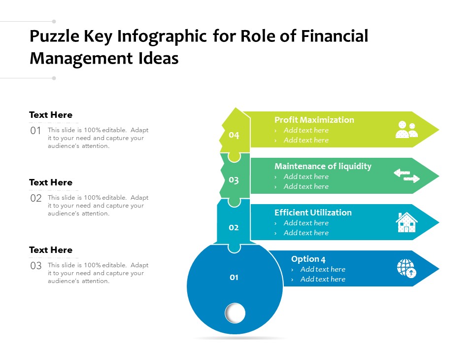 Puzzle Key Infographic For Role Of Financial Management Ideas Ppt PowerPoint Presentation Professional Example PDF
