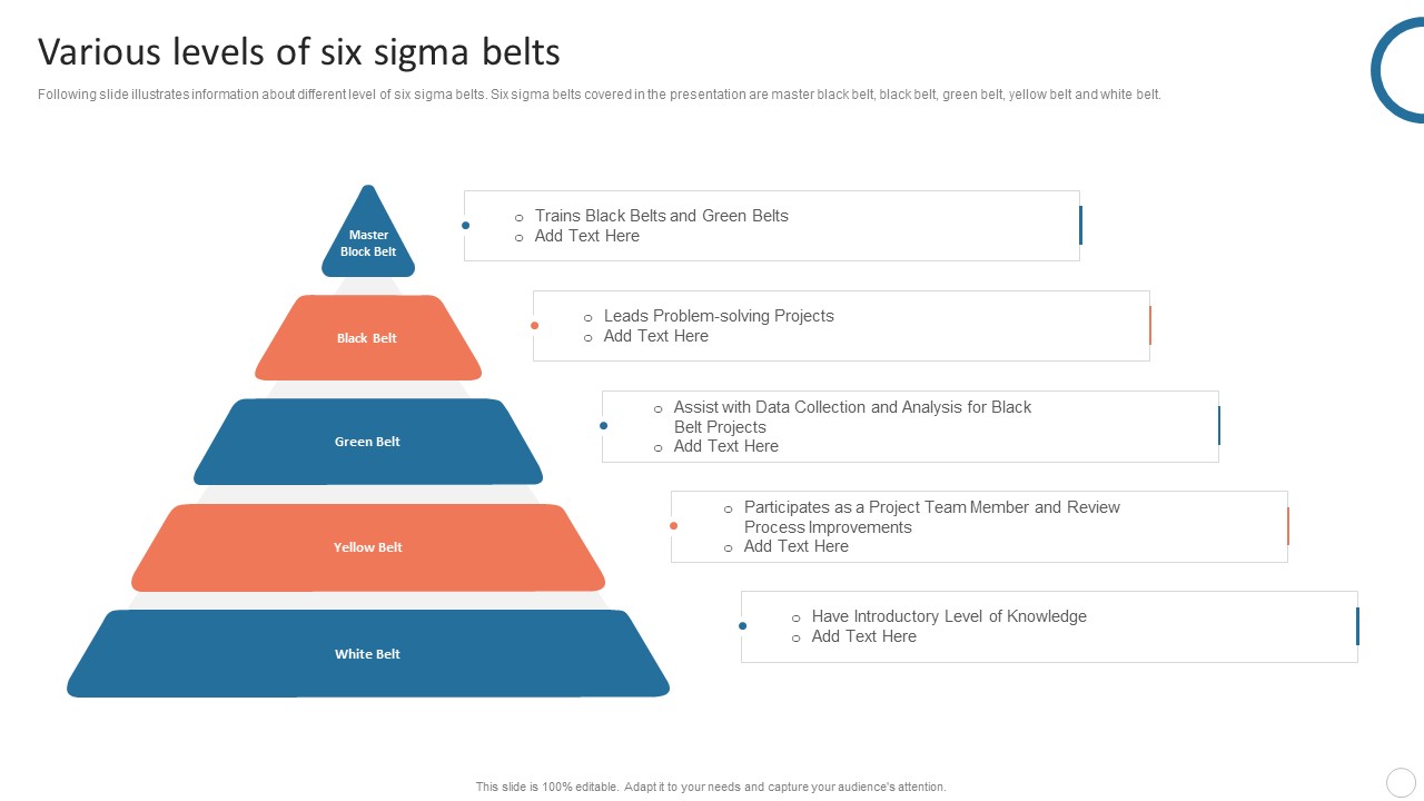 Quality Control Plan Various Levels Of Six Sigma Belts Pictures PDF