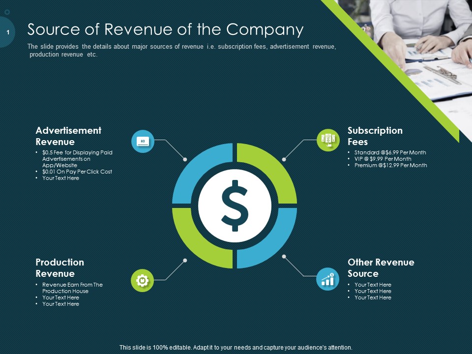 Raise Funding From Pre Seed Capital Source Of Revenue Of The Company Background PDF
