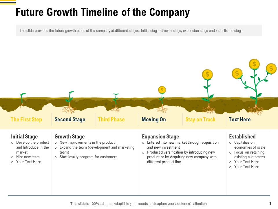 Raise Funding From Pre Seed Money Future Growth Timeline Of The Company Designs PDF