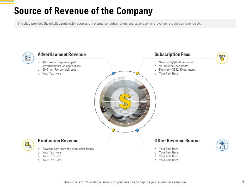 Raise Funding From Pre Seed Money Source Of Revenue Of The Company Information PDF