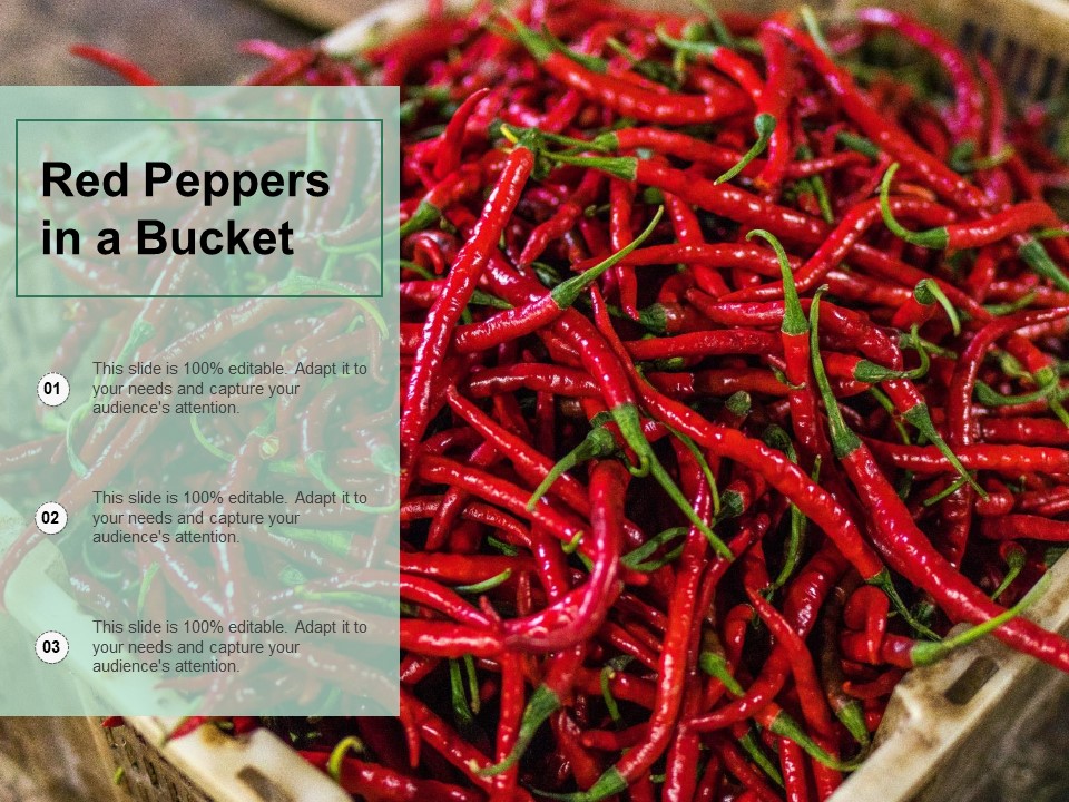 Red Peppers In A Bucket Ppt PowerPoint Presentation Gallery Maker