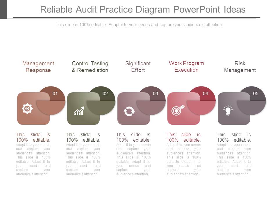 Reliable Audit Practice Diagram Powerpoint Ideas