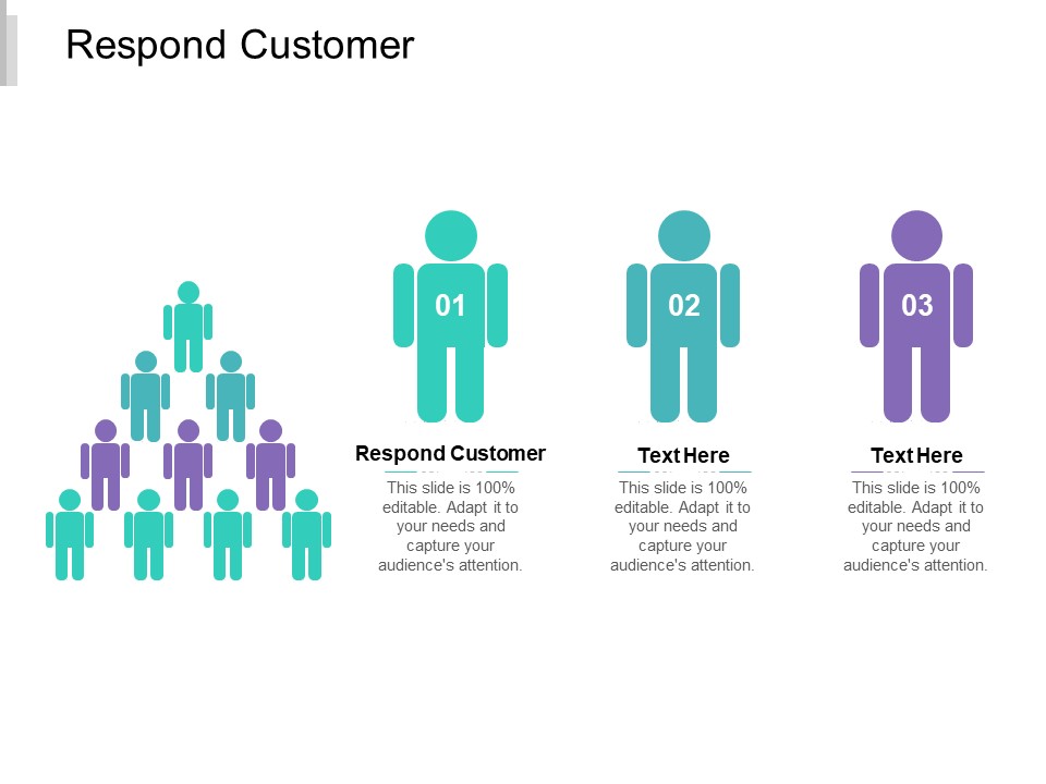 Respond Customer Ppt PowerPoint Presentation Professional Portrait Cpb
