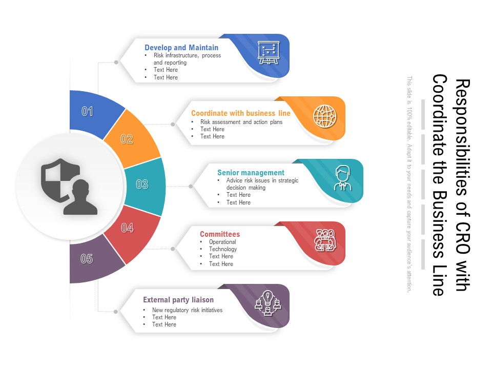 Responsibilities Of CRO With Coordinate The Business Line Ppt PowerPoint Presentation Professional Graphics Example PDF