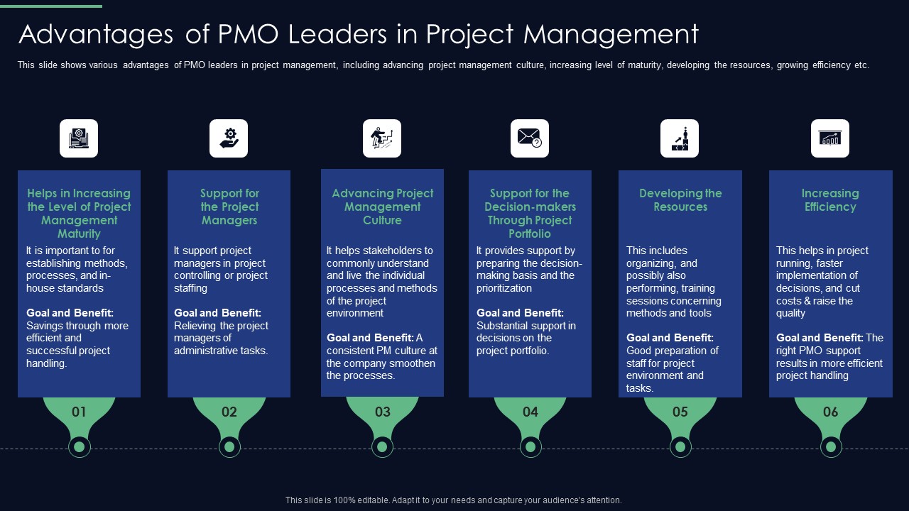Responsibilities Project Management Office Implementing Digitalization Advantages Of PMO Leaders Portrait PDF
