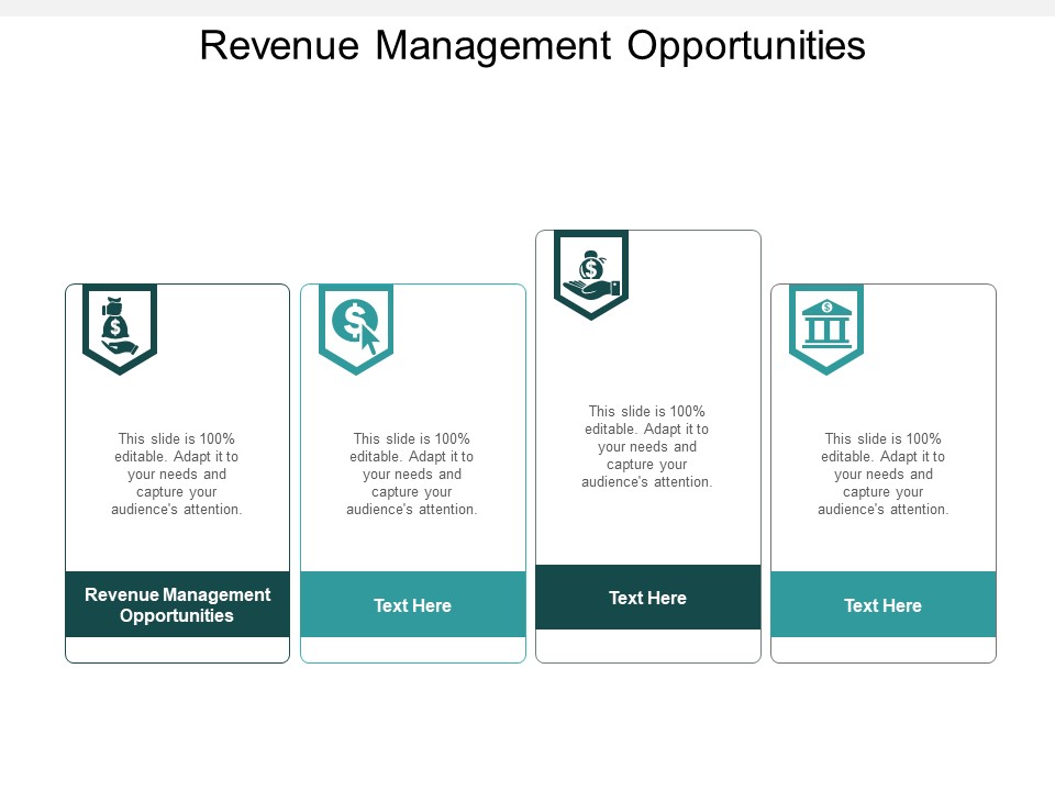 Revenue Management Opportunities Ppt PowerPoint Presentation Styles Shapes Cpb