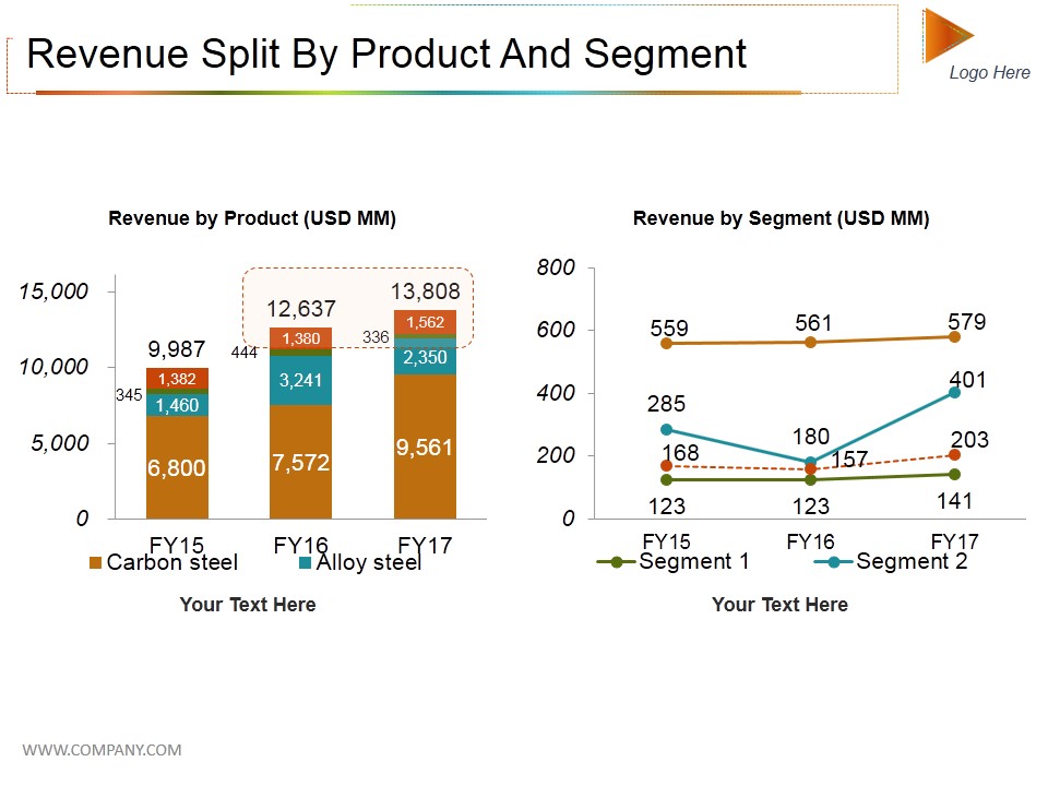 Revenue Split By Product And Segment Ppt PowerPoint Presentation Show Styles