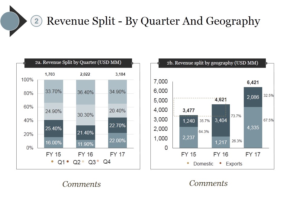 Revenue Split By Quarter And Geography Ppt PowerPoint Presentation Icon Layout