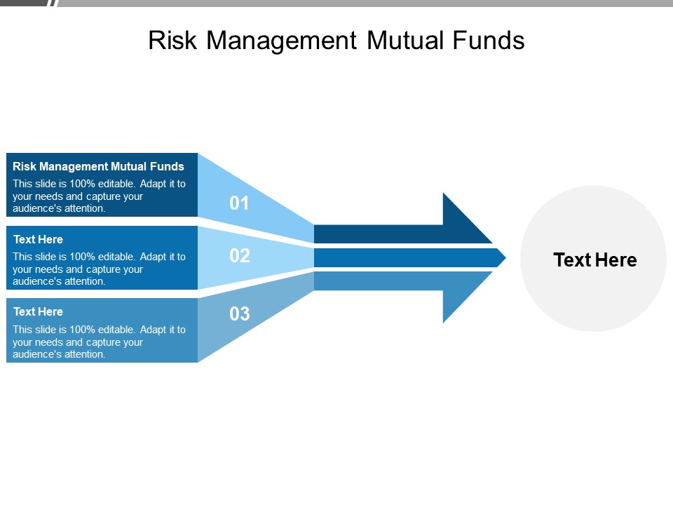 Risk Management Mutual Funds Ppt PowerPoint Presentation Outline Slideshow Cpb