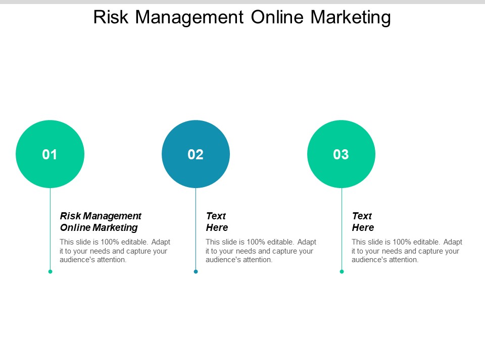 Risk Management Online Marketing Ppt PowerPoint Presentation Slides Inspiration Cpb