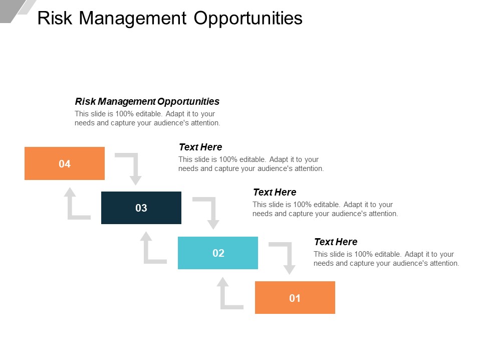 Risk Management Opportunities Ppt PowerPoint Presentation Outline Example File Cpb