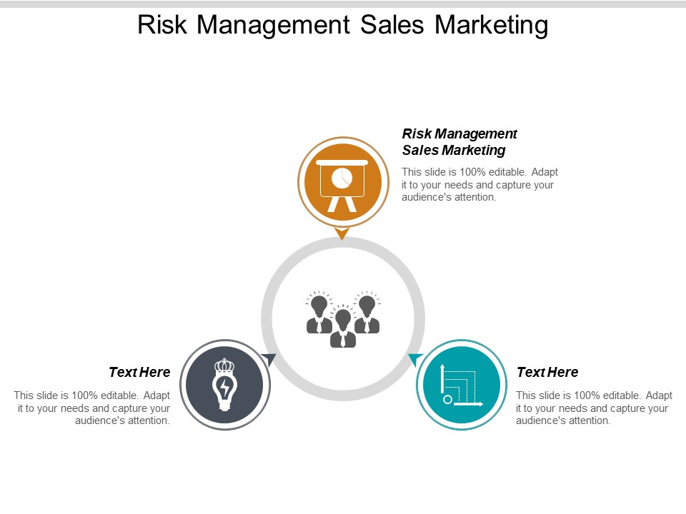 Risk Management Sales Marketing Ppt PowerPoint Presentation File Portfolio Cpb